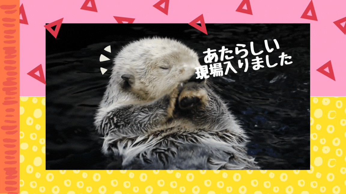 【NEW】南城市佐敷