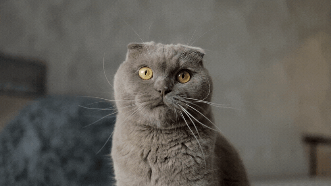 【New】那覇市おもろまち