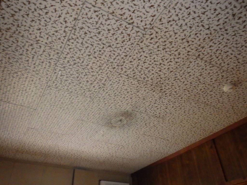 うるま市天願O様邸解体工事 (天井材：フレキシブルボード撤去)