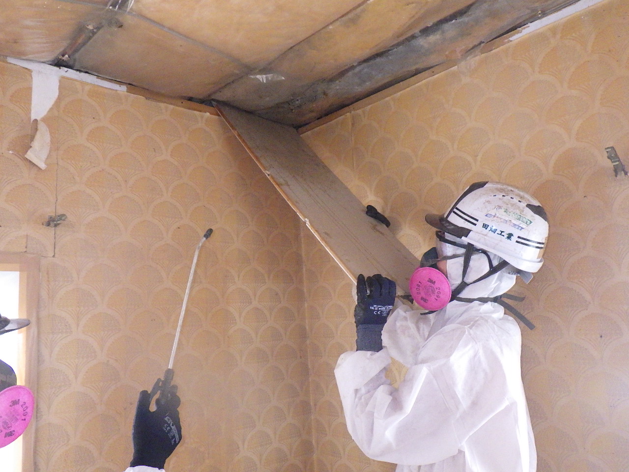 今日から通常営業です(^^)/