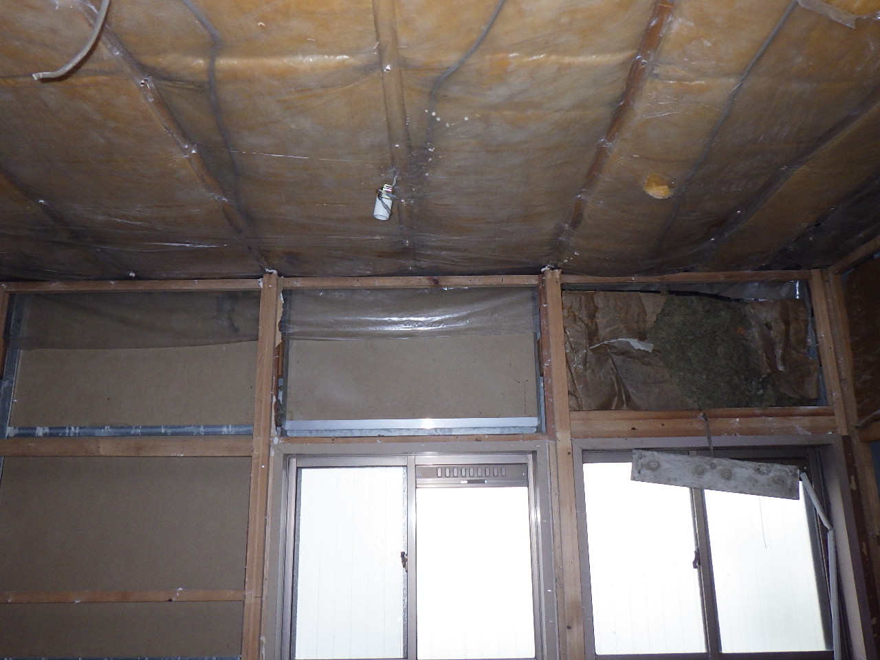 2022年6月6日（月）