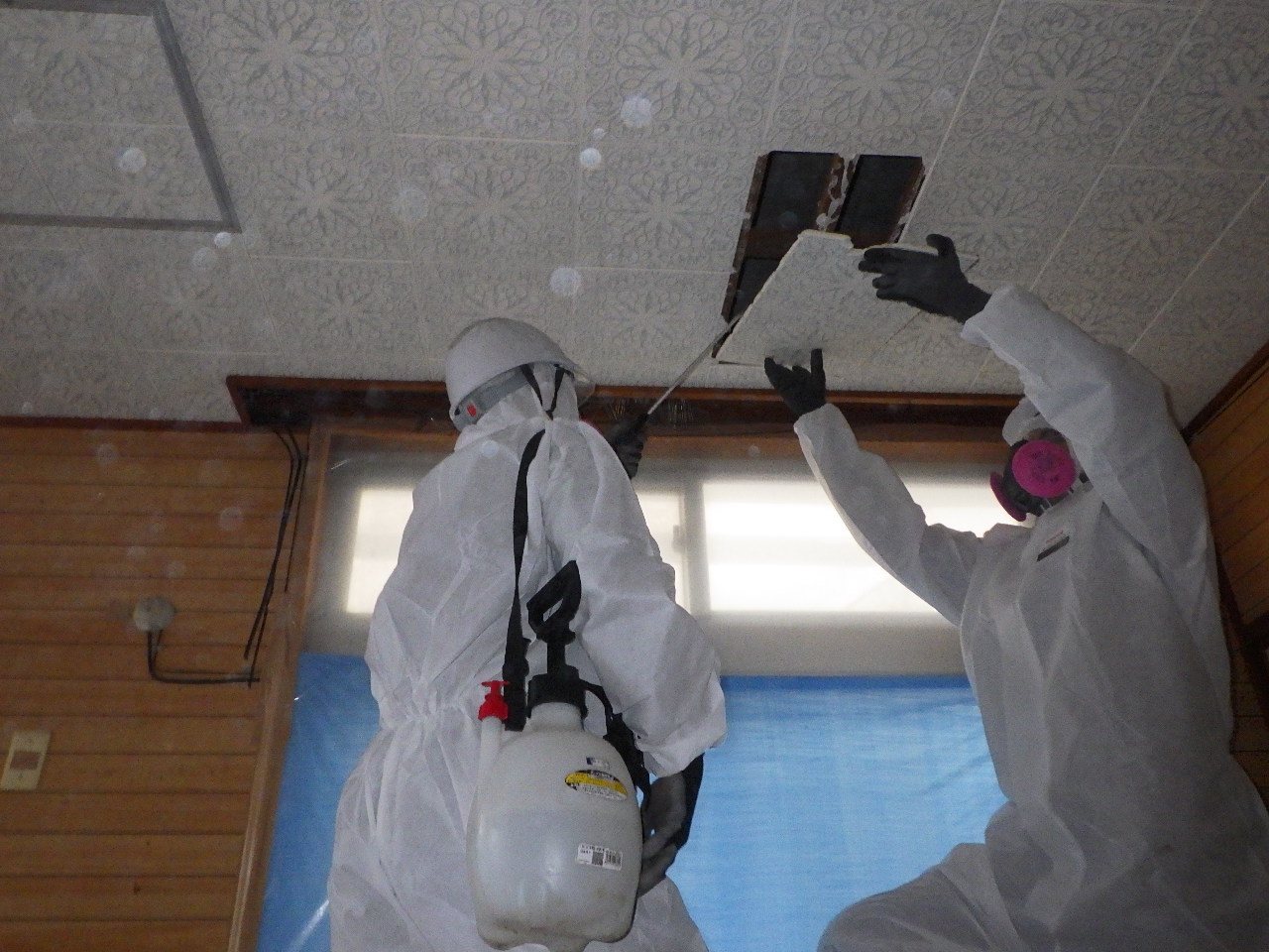 2022年6月8日（水）